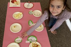 Dzieci poznają budowę jabłka.