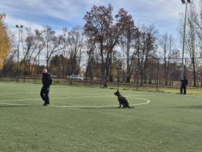 Policjanci z psem podczas pokazów prezentujących umiejętności psa.