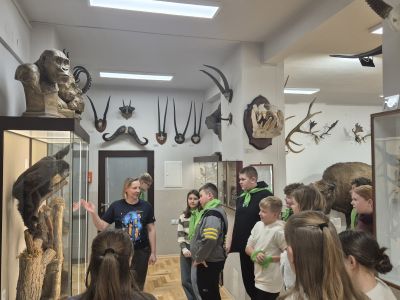 Uczniowie oglądają eksponaty w Muzeum Zoologii.