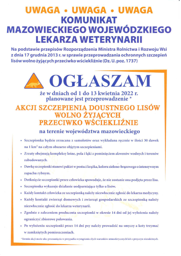 Akcja szczepienia lisów przeciwko wściekliźnie