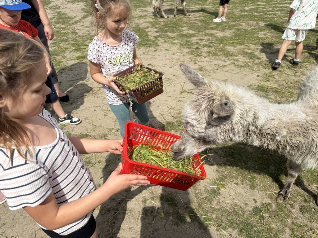 Wycieczka do Zagrody Alpak w Woli Miastkowskiej